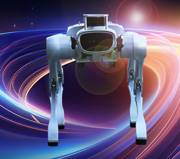 中坚坚米灵睿P1