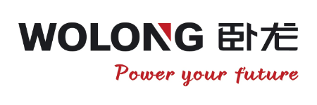 卧龙电气驱动集团股份有限公司