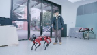 上海交通大学——导盲六足机器人体验