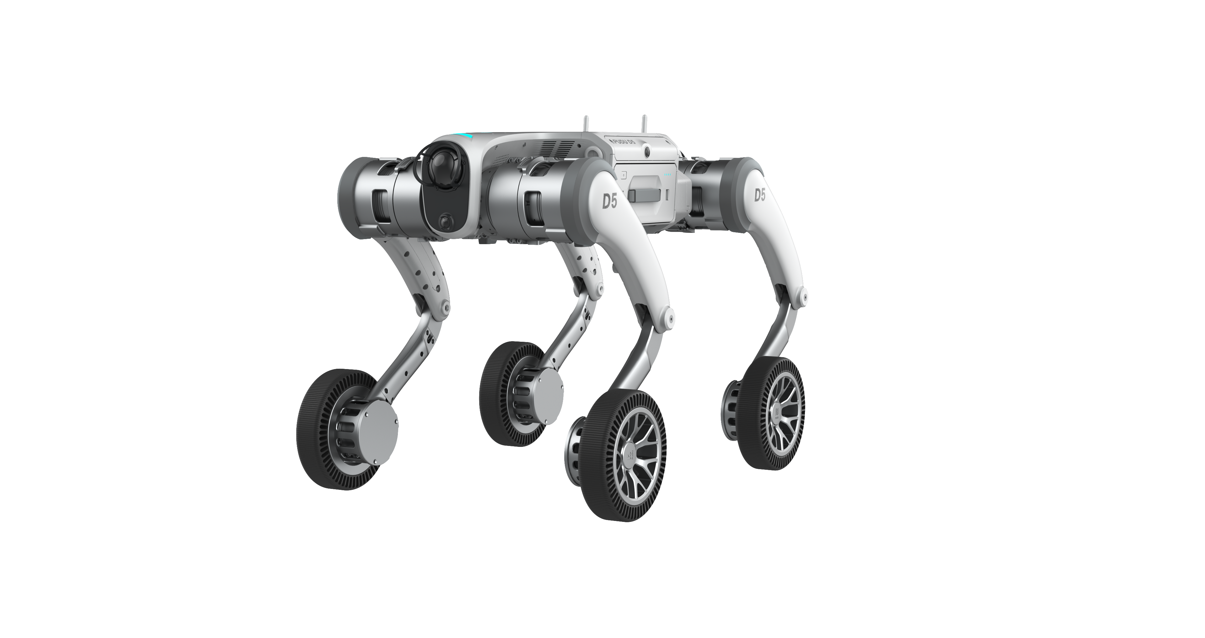 PUDU D5