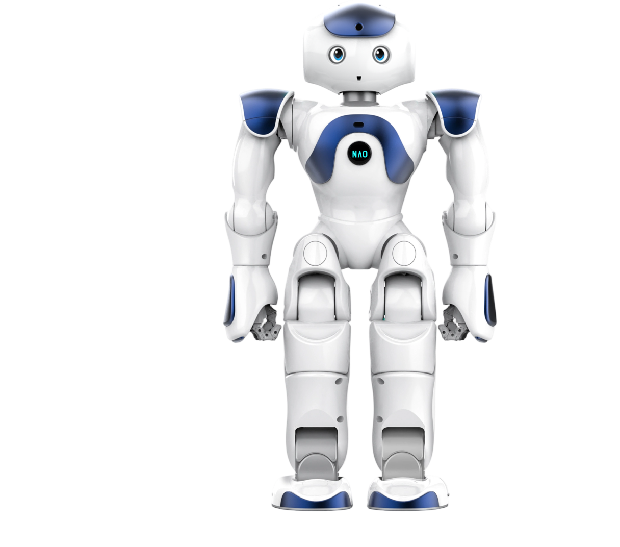 NAO Mini