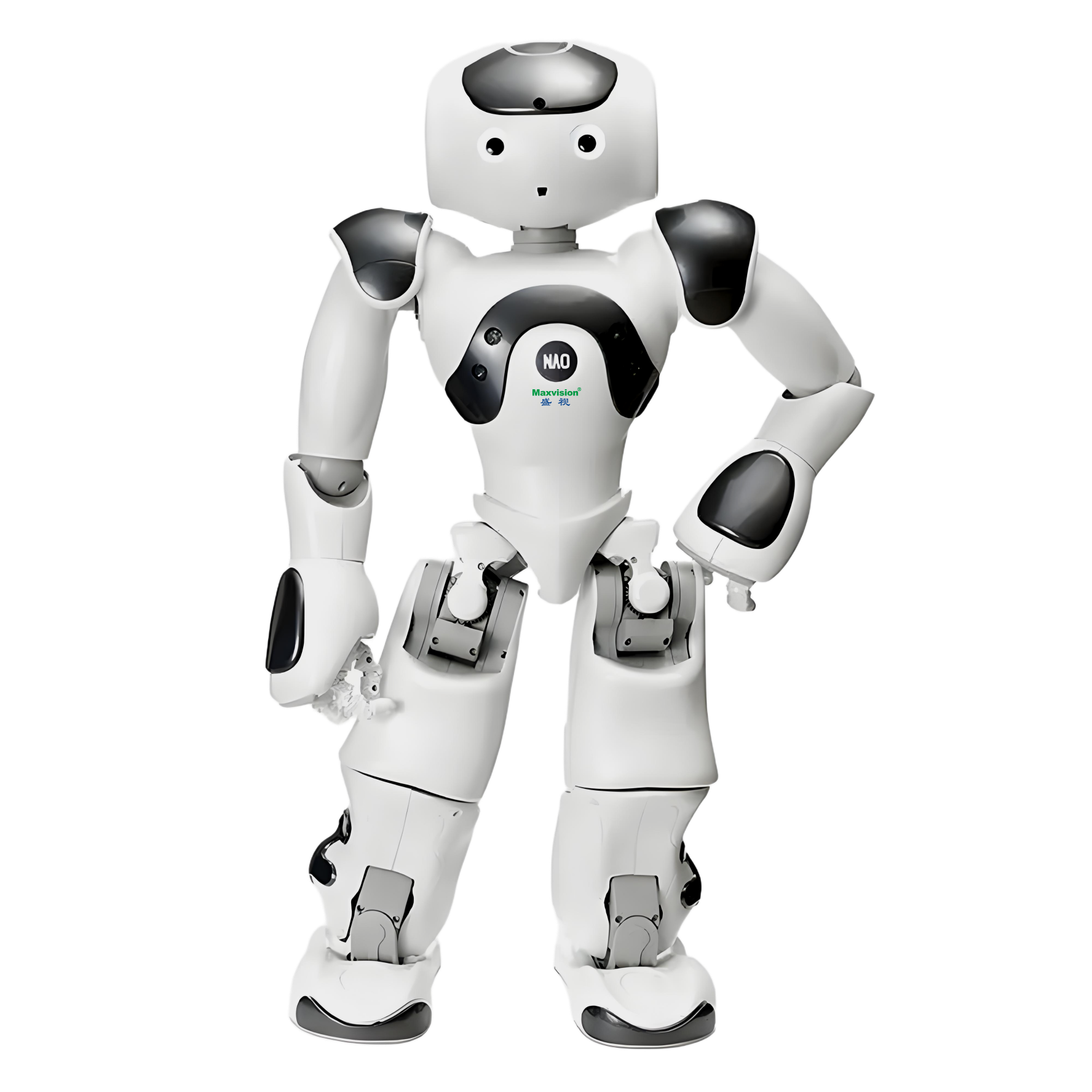 NAO 6