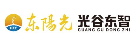 湖北光谷东智具身智能技术有限公司
