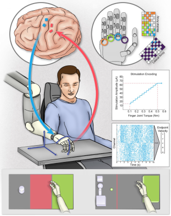 1593569159741802.png https://mmbiz.qpic.cn/mmbiz_png/2bxnTPSj6wfBYkicmsrs9WEic8VIh5CzYDKhOLGqsuyV1oEzrXMXpvRrnp7mrCahj94OveMugszc5icSgkDHul1pg/640?wx_fmt=png&wxfrom=5&wx_lazy=1&wx_co=1