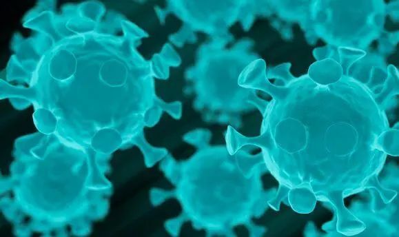 1593660618361473.jpg https://mmbiz.qpic.cn/sz_mmbiz_jpg/QS5UdK89q5maUqZI28mSDhibEUBGianp0vouF26ib7TFSzy6WuAvgLeTZ0N3mLnIvhrWnic57h6IPWjWLHq192iaOow/640?wx_fmt=jpeg&wxfrom=5&wx_lazy=1&wx_co=1