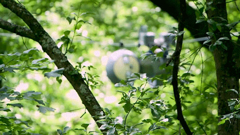 1593660748822610.gif https://mmbiz.qpic.cn/mmbiz_gif/LJiau2qPWAcXEWTphLXleUP3tr31ITd7ZTa4SvibGf6yV5xFYRokbCXQuGbDnYLw96W16vM8XpKWkUfURUoY57Cw/640?wx_fmt=gif&wxfrom=5&wx_lazy=1