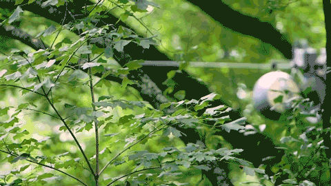 1593660749293238.gif https://mmbiz.qpic.cn/mmbiz_gif/LJiau2qPWAcXEWTphLXleUP3tr31ITd7ZBo1S2TK4ljTxGNwmxib0Djg91GKSbe8ibL2d0Qnb53cZngmfdTybHozQ/640?wx_fmt=gif&wxfrom=5&wx_lazy=1