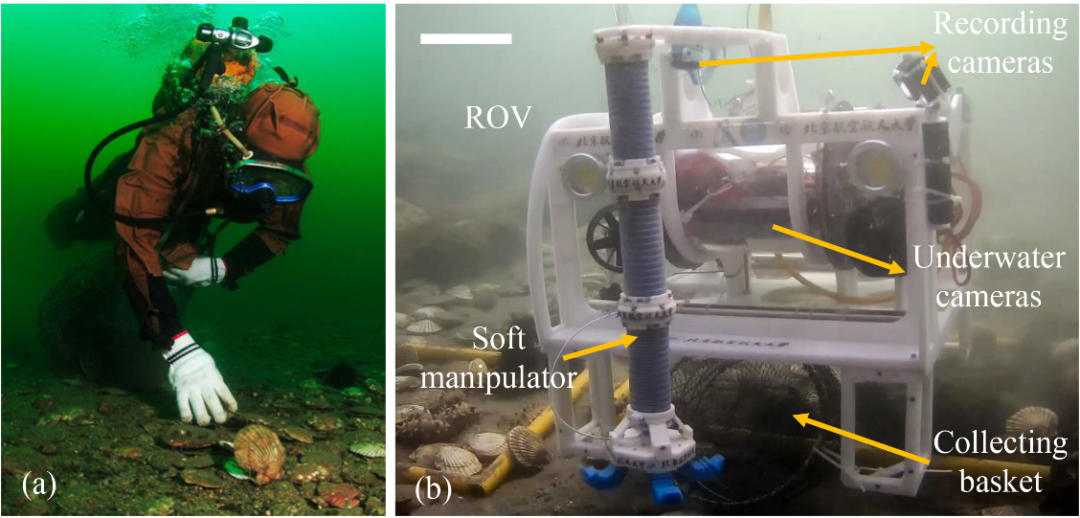 1594358869329667.png https://mmbiz.qpic.cn/mmbiz_png/LJiau2qPWAcUC0YKfnwF2uB2yx9FrDqHXOibtGEkOdqyuxJUHZIib51uXGmN5zmLOmqKJtSnLPF2vgpPhsrxWEjsQ/640?wx_fmt=png&wxfrom=5&wx_lazy=1&wx_co=1