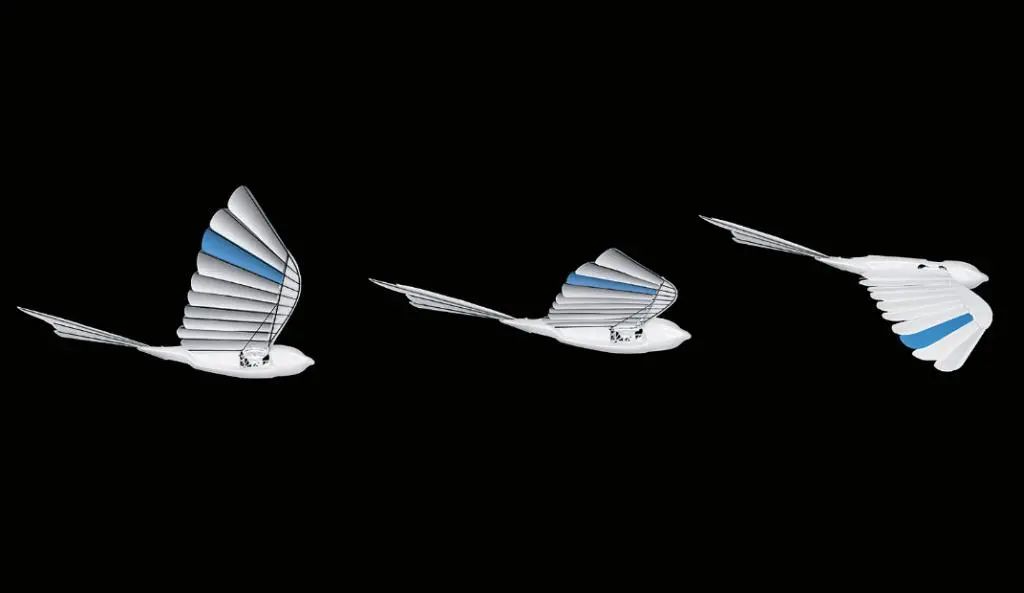 1595231727644927.jpg https://mmbiz.qpic.cn/sz_mmbiz_jpg/QS5UdK89q5kEjTR2g3gnPibKXhFTBmO48rWwiaqIo4TdbmY3sNSicUGaJ5tu5vGnicYyOicExWxIy3YATQQBALECGmg/640?wx_fmt=jpeg&wxfrom=5&wx_lazy=1&wx_co=1